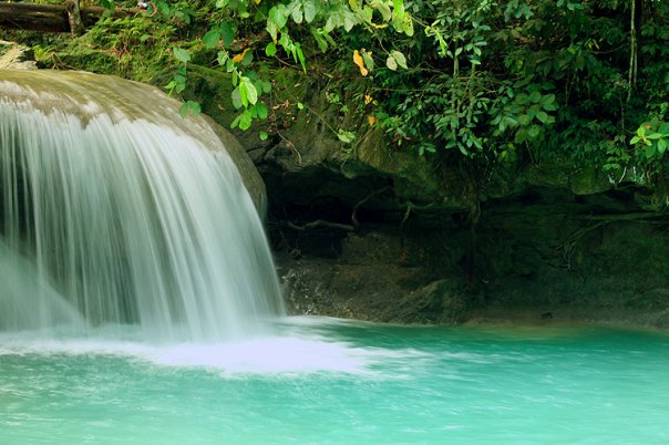 Kawasan Falls: A Paradise of Crystal Clear Waters in Cebu