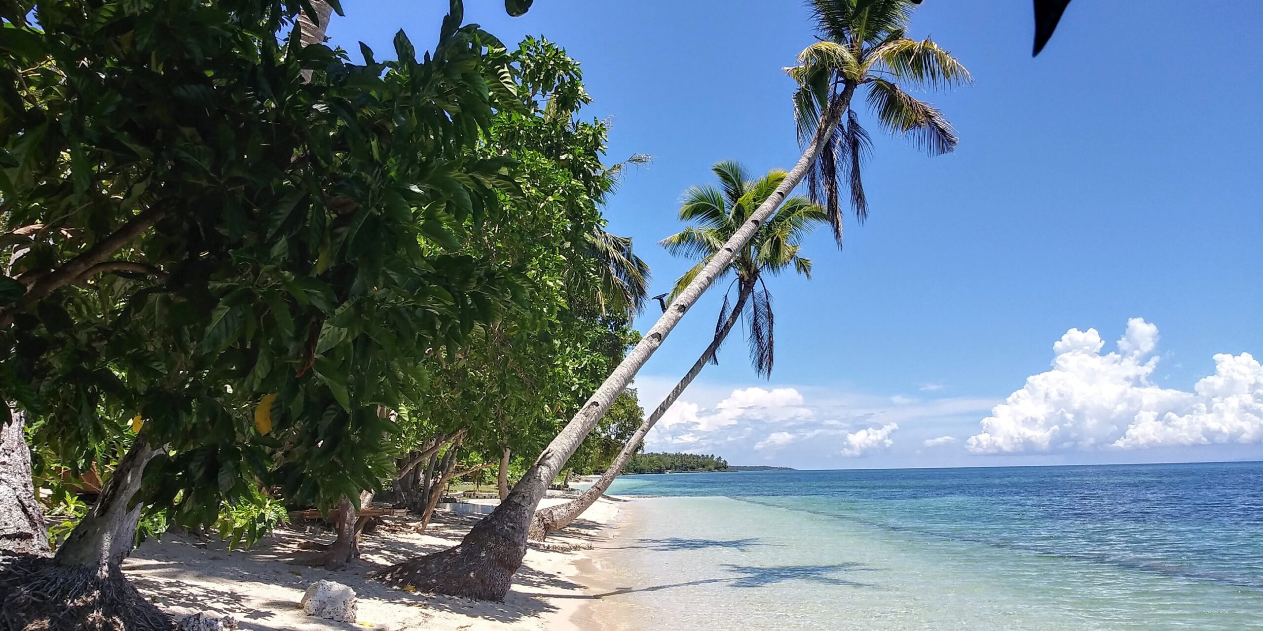 My Journey in Camotes