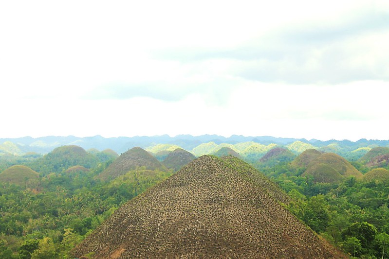 Chocolate Hills: Bohol’s Iconic Natural Wonder